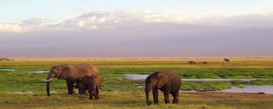 Visto Kenya - Panoramica sul Kilimanjaro